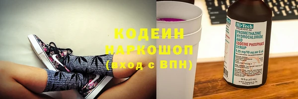 дживик Бронницы
