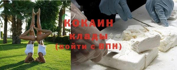 МДПВ Бородино