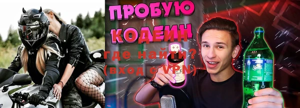 дживик Бронницы