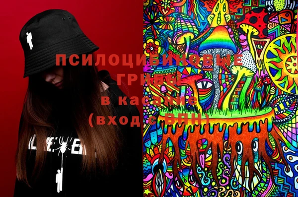 дживик Бронницы