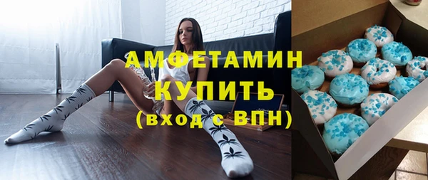 МДПВ Бородино