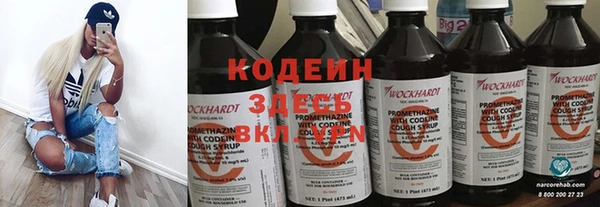 МДПВ Бородино