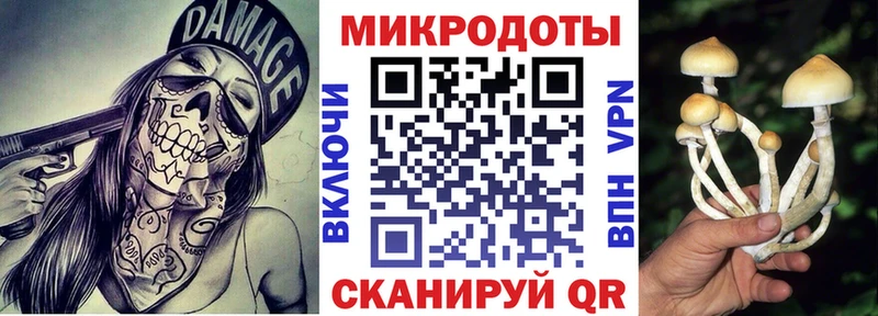 Псилоцибиновые грибы Cubensis  Мышкин 